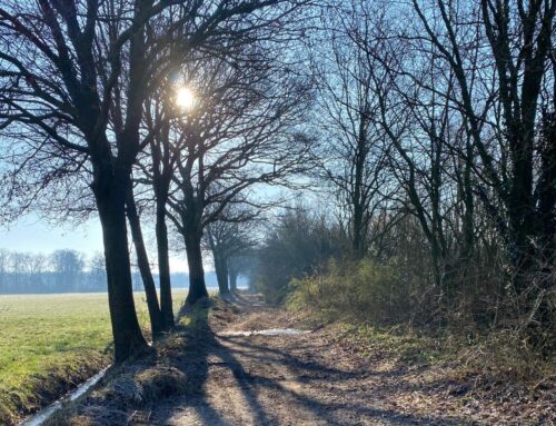 Let op: zomertijd gaat in!